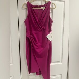 Elegant Siena Magenta Dress